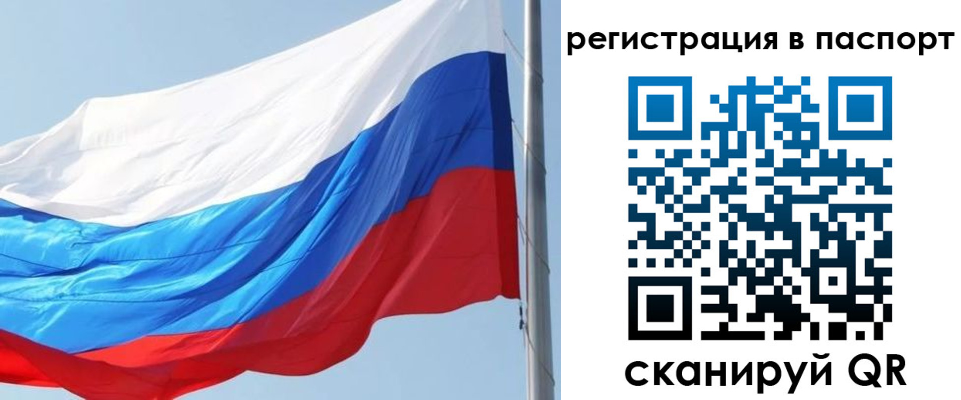 прописка законно в Мариинском Посаде